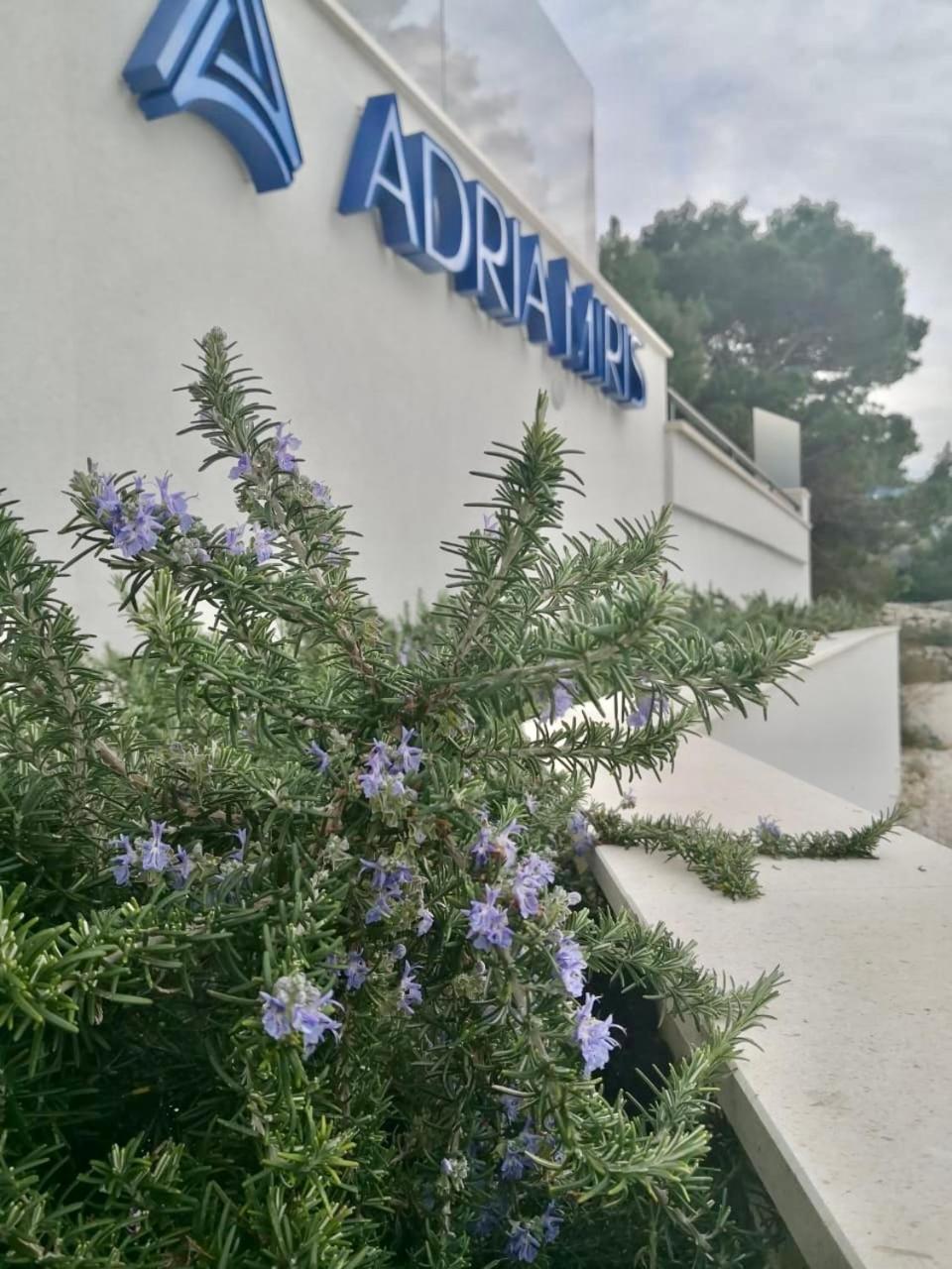 Adria Miris Apartments دراسنيتش المظهر الخارجي الصورة